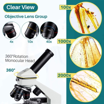 Microscope 851