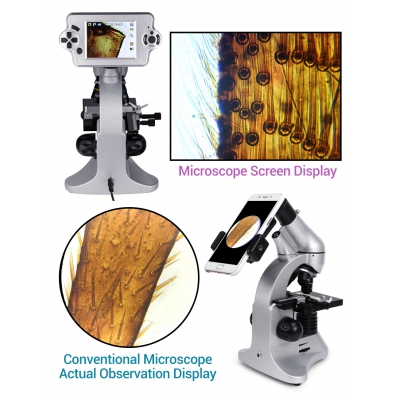 Microscope v63420