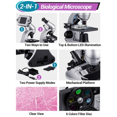 Microscope v63420
